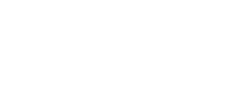 Logo V4